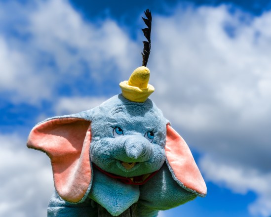 Fly Dumbo, Fly! Nikon D5100, Nikkor 55-200mm f/4-5.6, 1/500s, 85mm, f/8, ISO 200