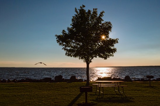 Picnic Ready Nikon D5100, Nikkor 24-85mm f/3.5-4.5, 1/800s, 24mm, f/11, ISO 400