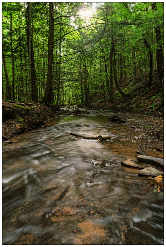 Creek Walk Nikon D5100, Sigma 17-70mm f/2.8-4, 4s, 17mm, f/11, ISO 100
