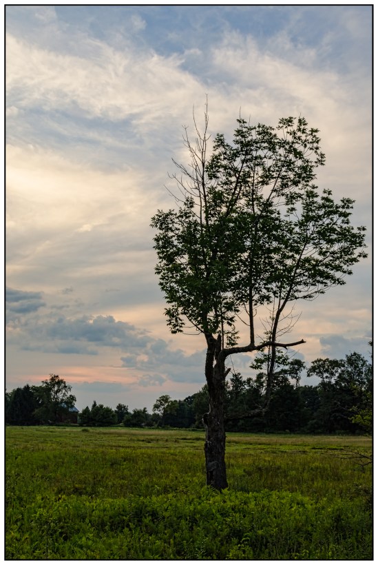 Standing Alone Nikon D5100, Nikkor 24-85mm f/3.5-4.5, 1/200s, 31mm, f/8, ISO 400