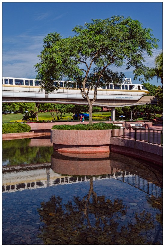Technology and Nature Nikon D5100, Nikkor 24-85mm f/3.5-4.5, 1/320s, 24mm, f/11, ISO 250