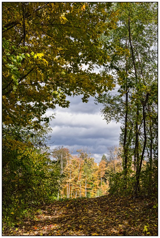 ...at the end of the tunnel Nikon D5100, Nikkor 24-85mm f/3.5-4.5, 1/250s, 40mm, f/8, ISO 200