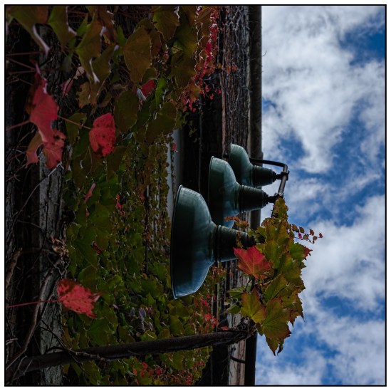 Building Lights Nikon D5100, Nikkor 24-85mm f/3.5-4.5, 1/250, 40mm, f/8, ISO 200