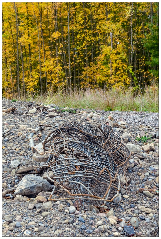 Shopping Cart in the Wild Nikon D5100, Nikkor 35mm f/1.8, 1/60s, f/11, ISO 200