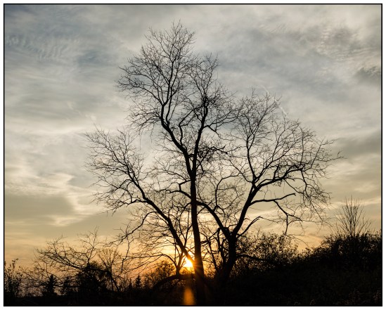 Sunset Silhouette Nikon D5100, Nikkor 24-85mm f/3.5-4.5, 1/640s, 26mm, f/11, ISO 400
