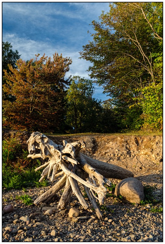 Washed Ashore Nikon D5100, Sigma 17-70mm f/2.8-4, 1/160s, 21mm, f/5.6, ISO 400
