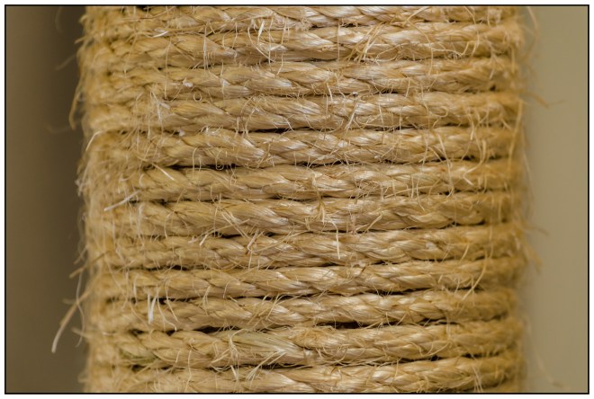 Light and Dark Nikon D5100, Nikkor 55-200mm f/4-5.6, 1/25s, 200mm, f/5.6, ISO 200