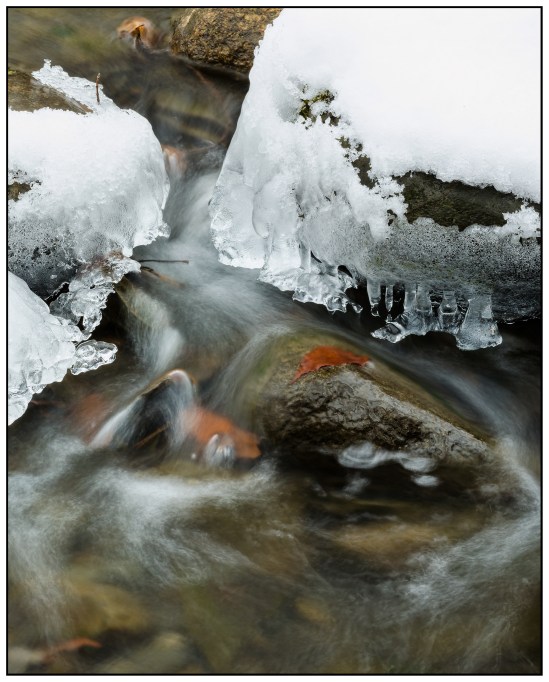 Seasons Collide Nikon D510, Nikkor 55-200mm f/4-5.6, 0.8s, 85mm, f/16, ISO 100