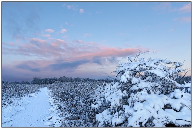 Winter Path Nikon D5100, Sigma 17-70mm f/2.8-4, 1/80s, 17mm, f/8, ISO 400