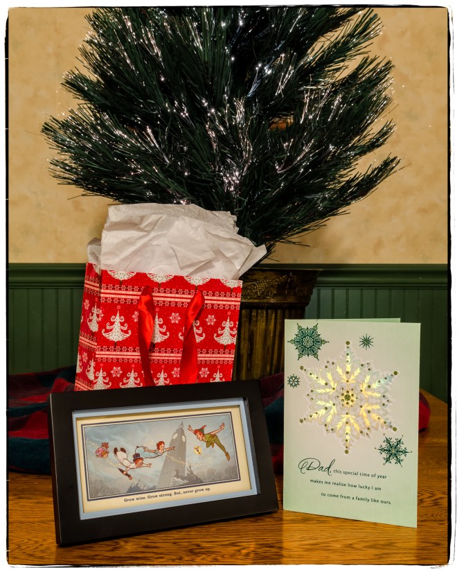 Christmas Nikon D5100, Sigma 17-70mm f/2.8-4, 2.5s, 24mm, f/8, ISO 200