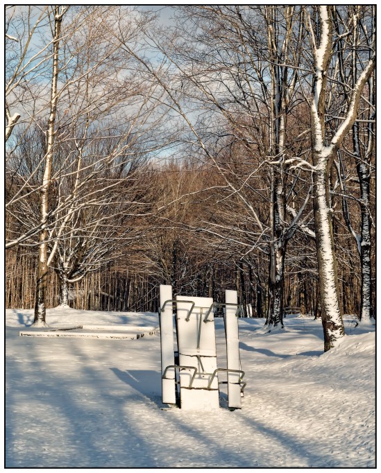 Picnic Table Escape Nikon D5100, Sigma 17-70mm f/2.8-4, 1/400s, 58mm, f/8, ISO 200
