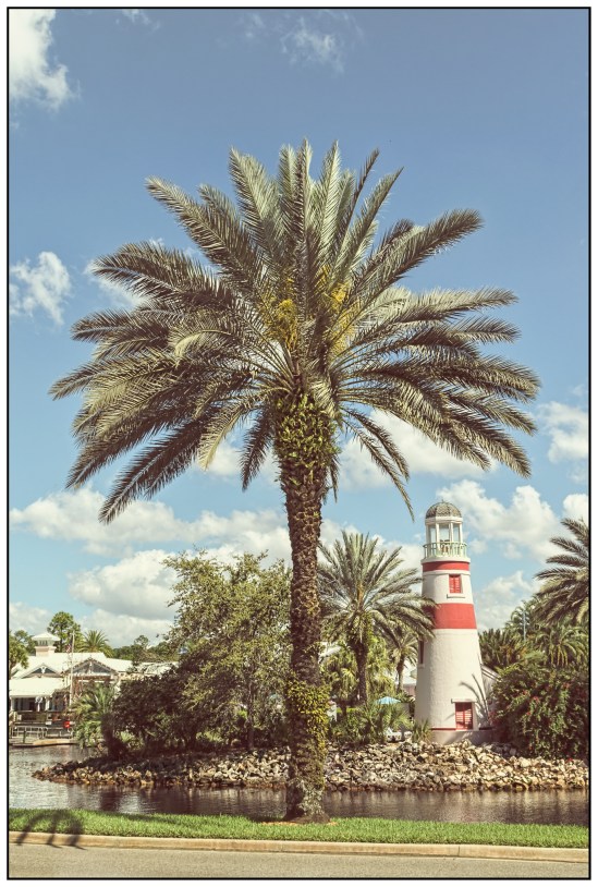 Beautiful Days Nikon D5100, Sigma 17-70mm f/2.8-4, 1/200s, 26mm, f/14, ISO 200