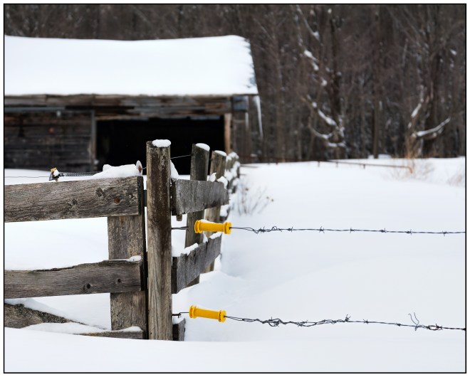 Yellow Handles Nikon D7100, Nikkor 24-85mm f/3.5-4.5, 1/1250s, 85mm, f/4.5, ISO 200