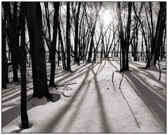 Long Shadows 2 Nikon D5100, Sigma 17-70mm f/2.8-4, 1/400s, 17mm, f/11, ISO 200