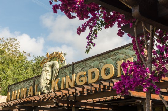 Animal Kingdom Nikon D7100, Sigma 17-70mm f/2.8-4, 1/320s, 32mm, f/8, ISO 200