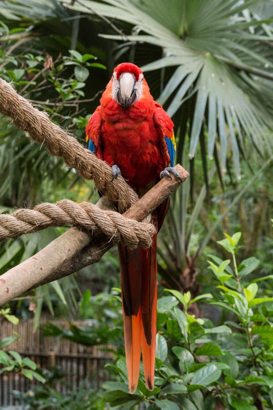 You Looking at Me! Nikon D7100, Sigma 17-70mm f/2.8-4, 1/320s, 42mm, f/5.6, ISO 3200