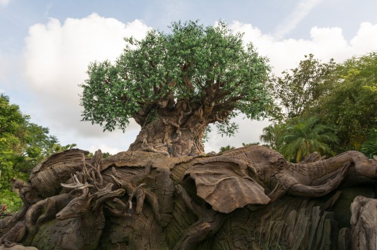 Tree of Life Nikon D7100, Sigma 17-70mm f/2.8-4, 1/250s, 17mm, f/8, ISO 200