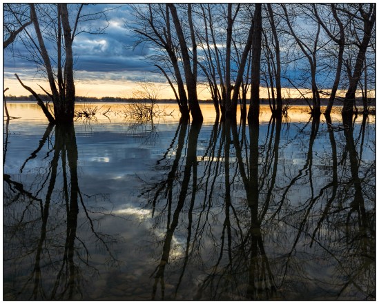 Sunset Through the Trees Nikon D7100, Tokina 12-28mm f/4, 1/15s, 20mm, f/16, ISO 100