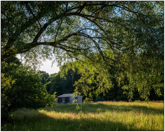 The Chicken Coop Nikon D7100, Sigma 17-70mm f/2.8-4, 1/250s, 32mm, f/8, ISO 400