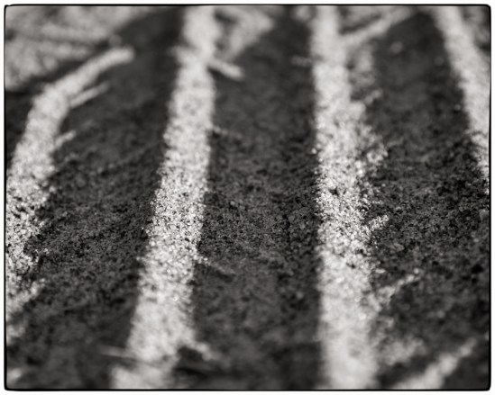 Shadow Lines Two Nikon D7100, Sigma 17-70mm f/2.8-4, 1/400s, 70mm, f/5.6, ISO 200