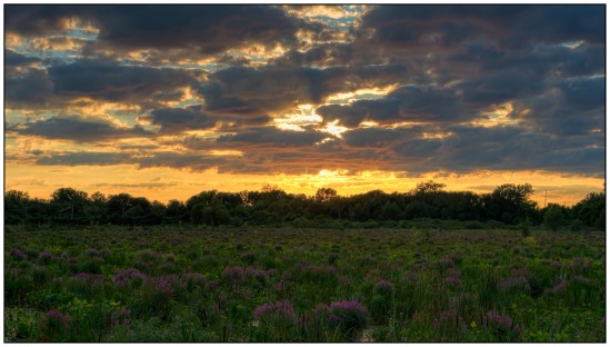 Marsh Sunset Nikon D7100, Sigma 17-70mm f/2.8-4, {1/50, 1/100, 1/200, 1/400 & 1/800 bracket}, 35mm, f/11, ISO 200