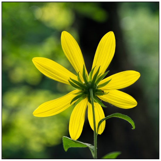 Underside Nikon D7100, Sigma 17-70mm f/2.8-4, 1/80s, 70mm, f/5.6, ISO 800