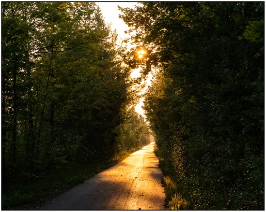 Flying Gauntlet Nikon D7100, Sigma 17-70mm f/2.8-4, 1/100s, 70mm, f/8, ISO 200