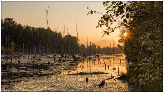Orange Light Nikon D7100, Sigma 17-70mm f/2.8-4, 1/320s, 32mm, f/16, ISO 800