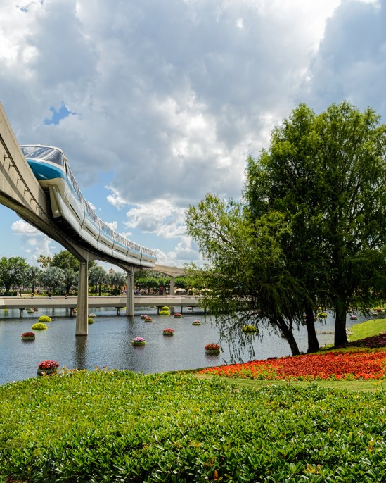 Green and Teal Nikon D7100, Sigma 17-70mm f/2.8-4, 1/800s, 17mm, f/8, ISO 200
