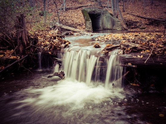 Backyard Falls Olympus OM-D E-M1, M. Zuiko 12-40mm f/2.8, 1/4s, 21mm, f/16, ISO 200