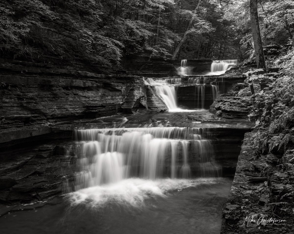 Traipsing Through | MLCreations Photography